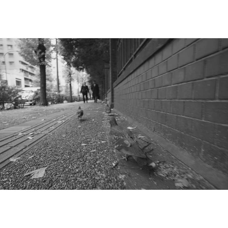 [89aa425ec6] Empire Oxford image test